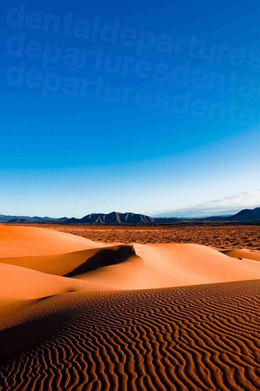 Pinacate Desert