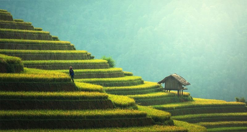 dd_201708231900_saigon_agriculture.jpg