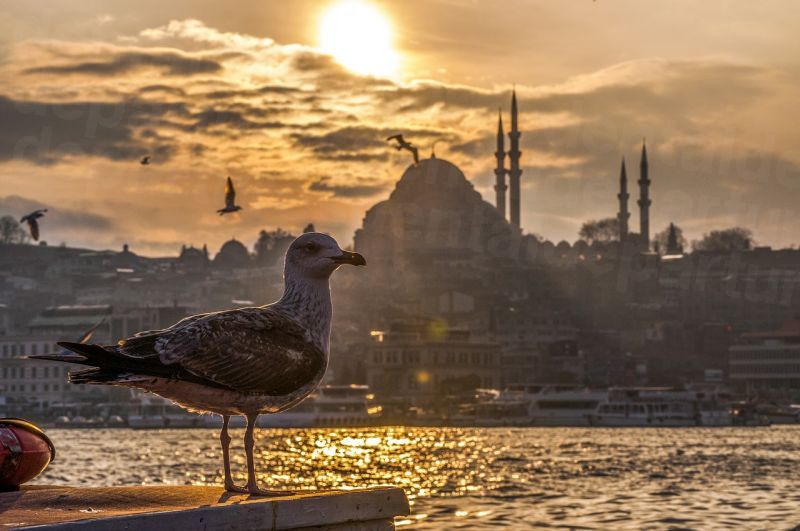 dd_201801101831_istanbul_3.jpg