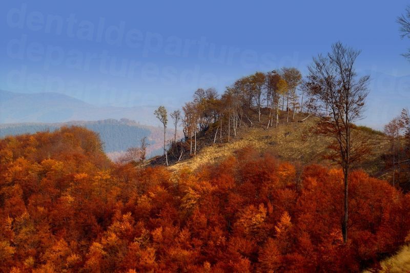 dd_201802151912_hungary_nature.jpg