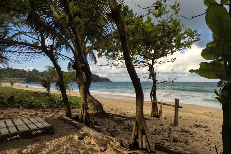 dd_201912060338_thailand-beach-ocean-tropics-trees-waves-1579669-pxherecom.jpg