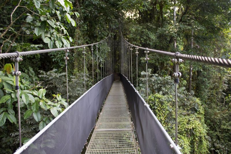 md_201808091933_costa_rica_bridge.jpg